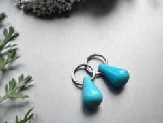 Lístečkové náušnice - S.Steel