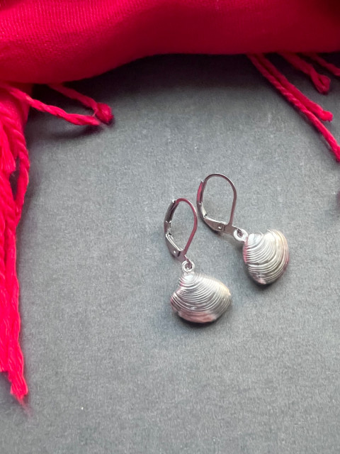 Mušličkové náušnice - S.Steel moře mušle léto nerez ocel mušlička 