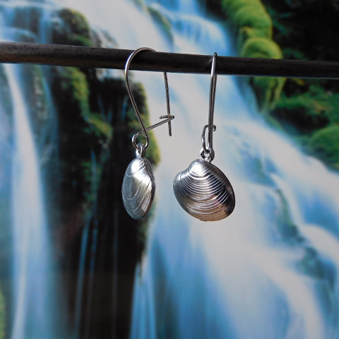 Naušnice - nerezové lasturky náhrdelník nerez mušlička 