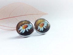 náušnice Linecké cukroví -chir.ocel