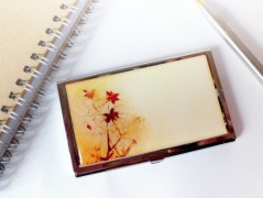 náušnice Linecké cukroví -chir.ocel