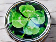 náušnice Linecké cukroví -chir.ocel