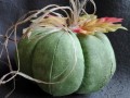 Dýně šitá ZELENÁ malá