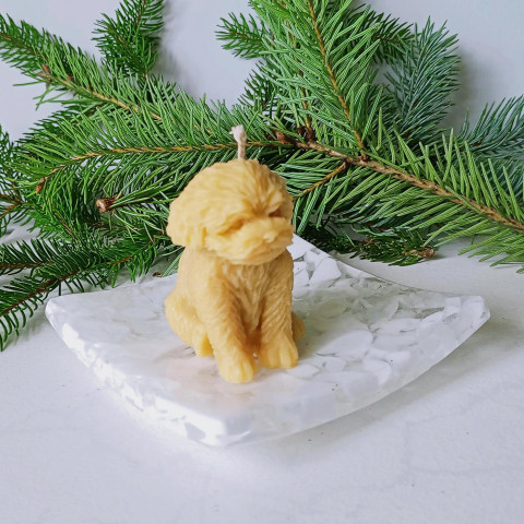 Pes pudlík - svíčka domov zvíře dekorace dárek pes svíčka vosk žlutá pozornost pudl 